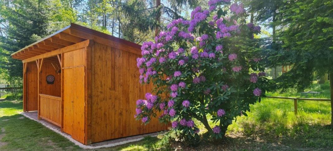 Villa Chaloupky U Matusku Varnsdorf Exterior foto